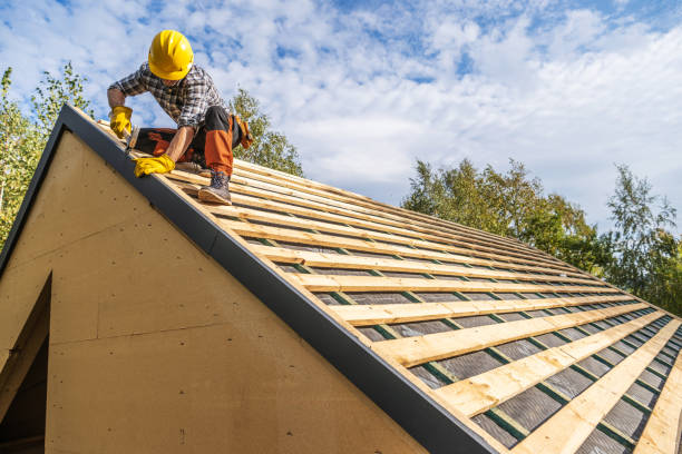Best Roof Gutter Cleaning  in Forrest, IL