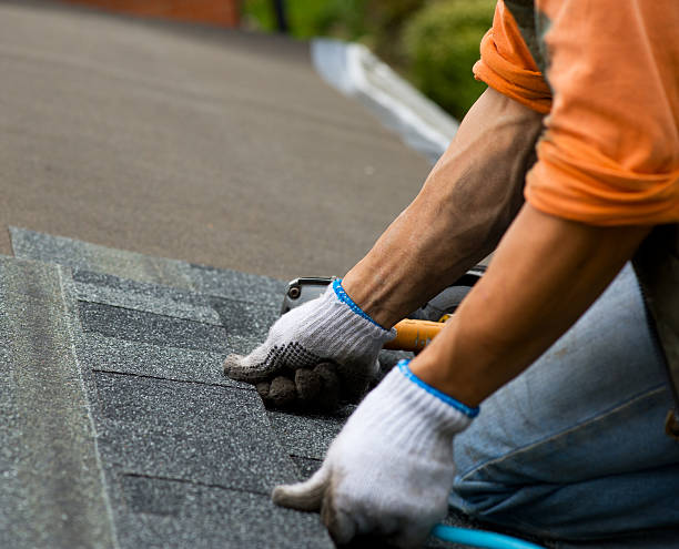 Best Local Roofing Companies  in Forrest, IL