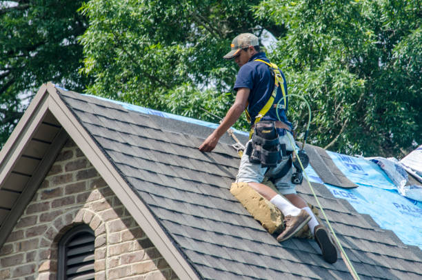 Roof Gutter Cleaning in Forrest, IL